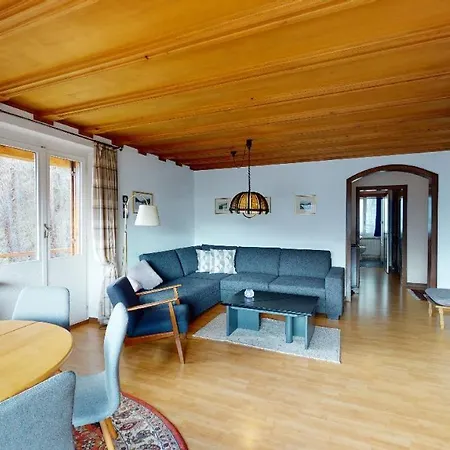 Paulette 14 公寓 圣莫里茨